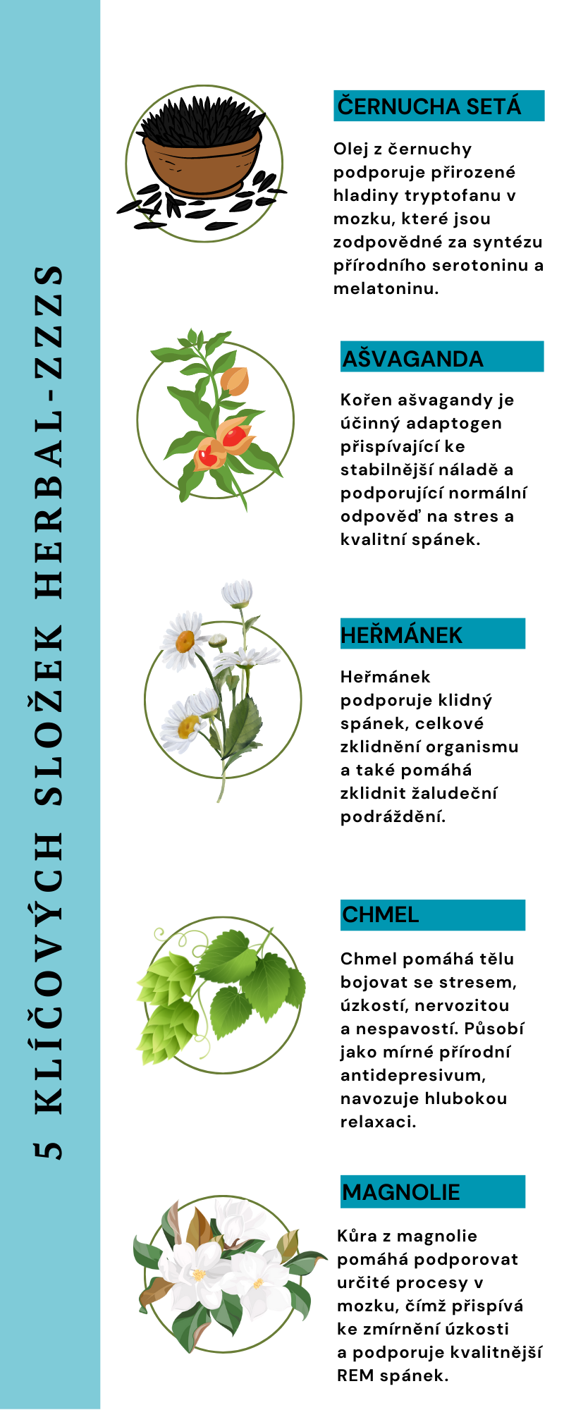 5 KLÍČOVÝCH SLOŽEK HERBAL-ZZZS